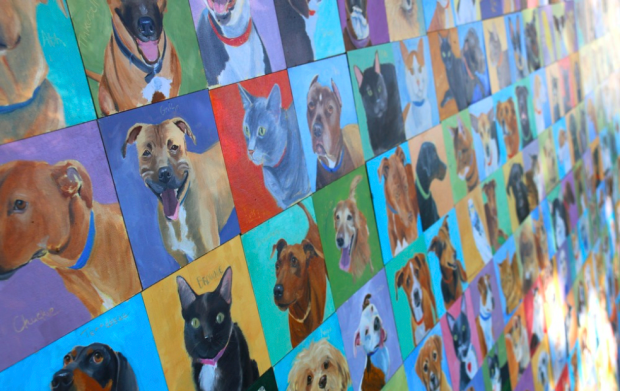 Screen Shot 2017-01-31 at 10.43.36 AM.png