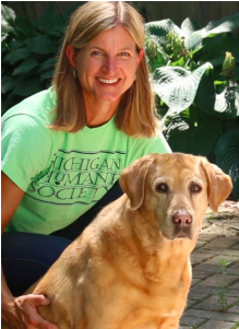 Screen Shot 2017-01-31 at 10.44.19 AM.png